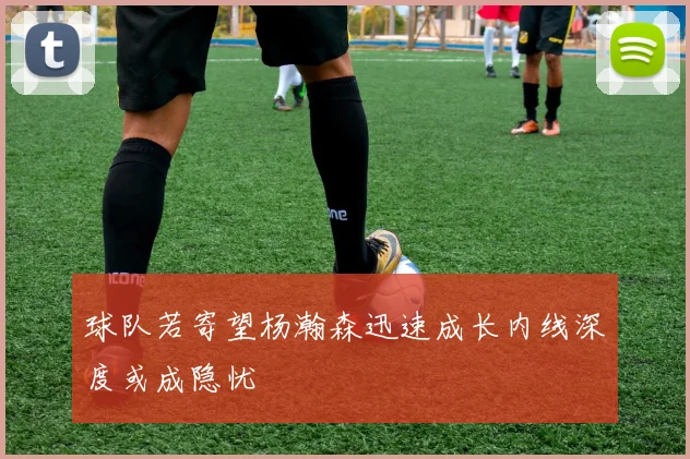 球队若寄望杨瀚森迅速成长内线深度或成隐忧