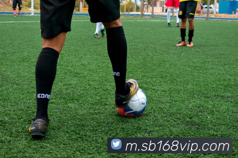 App Interface Preview