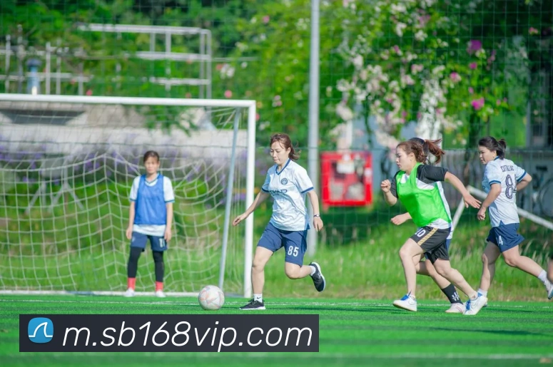 沙巴娱乐APP 封面图